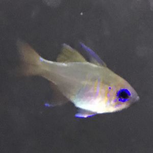 Meet your Posher, Kimberly